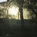 _DSC0191