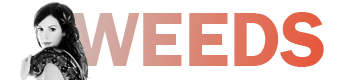 dnes_v2_weeds_mini_ban