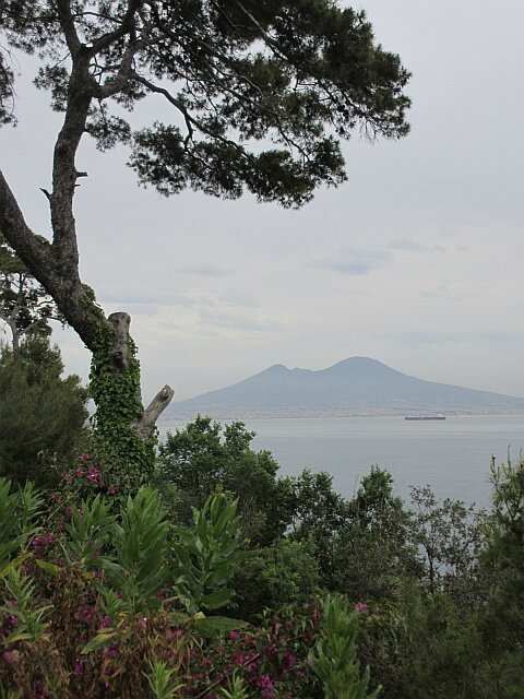 blog apl10
