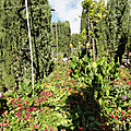 DSC01232