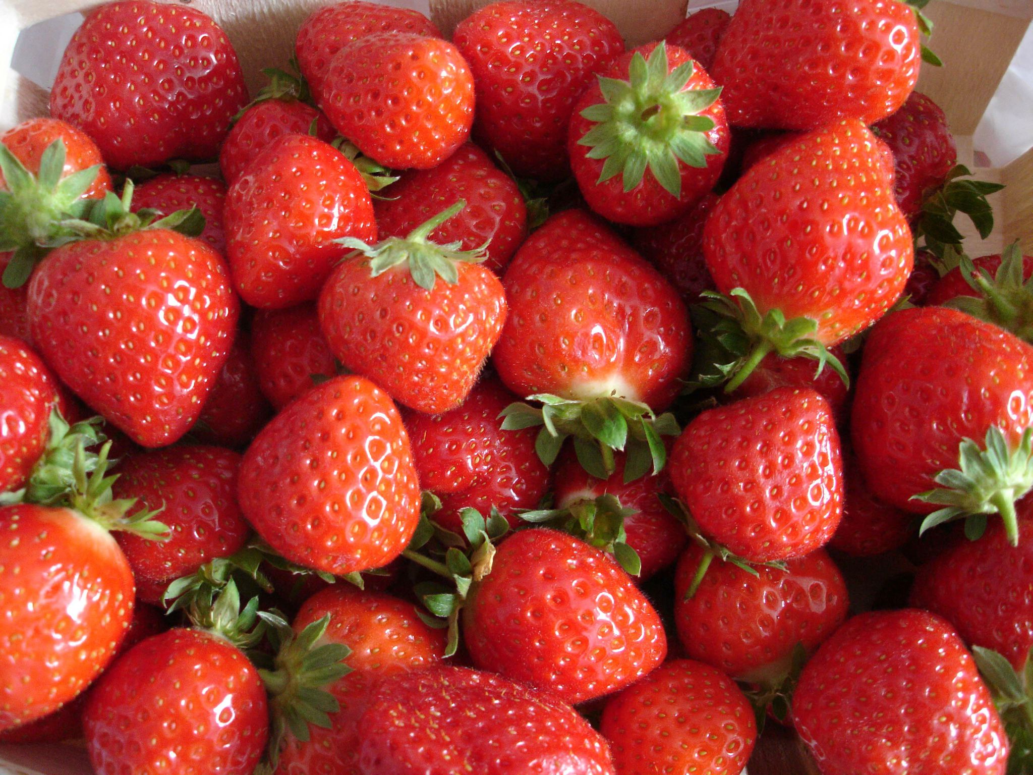 Les fraises de Plougastel... leshobbiesdanne