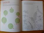 Mon cahier d'observation et d'activités - Les arbres