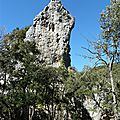 P1020919