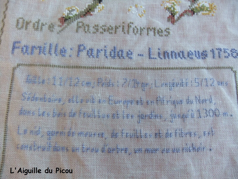 05-11b