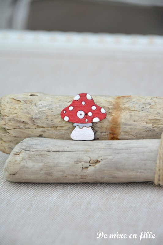 champignon rouge moyen
