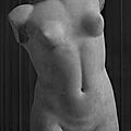 Venus aphrodite - musée du louvre - paris