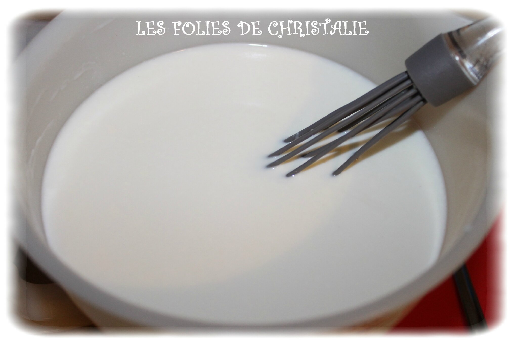 Les ptits délices à la vanille (ou petits-suisses maison)…