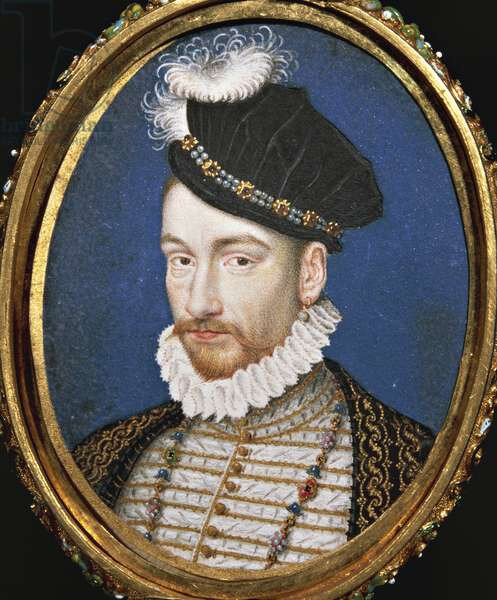 Charles IX, Kunsthistorisches museum