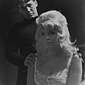 jayne-1966-film-single_room_furnished-film-1