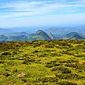 Les monts d'Arette depuis le plateau du Soulaing...