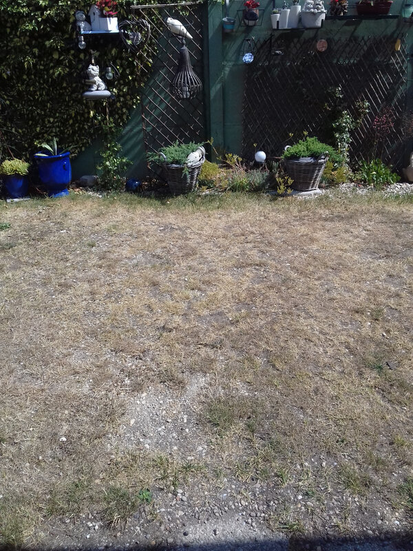 20190720_113930