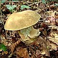 DSC05296