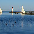 IMG_8704 - Copie