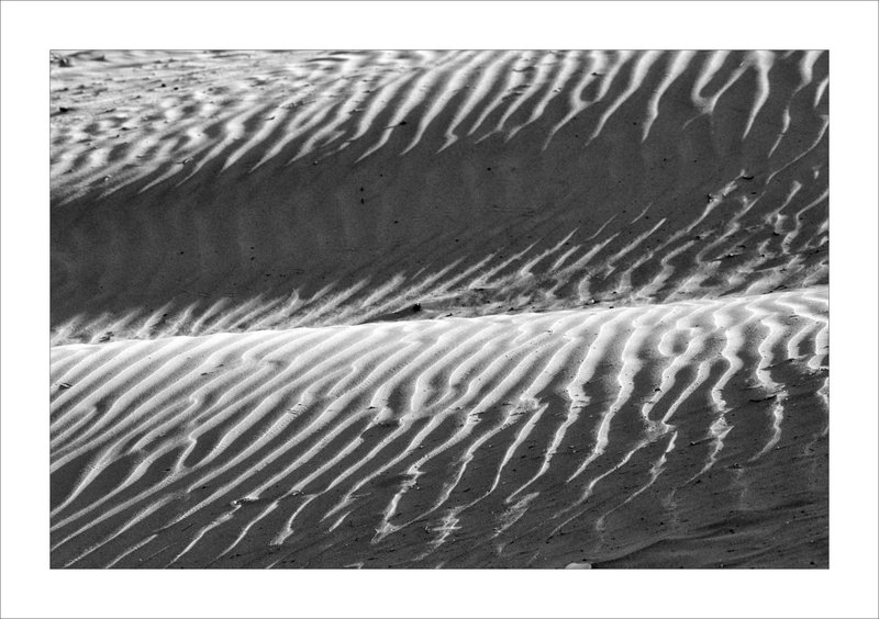 Oléron plage dune vagues sable vent efex 020918