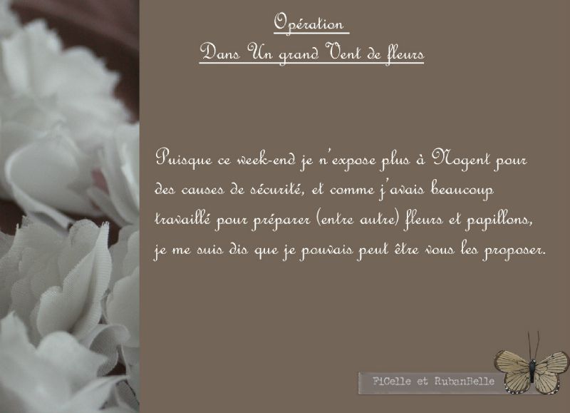 Dans Un Grand Vent De Fleurs Livre Opération dans un Grand vent de fleurs*** - FiCelle et RubanBelle