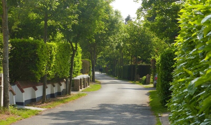 P1650689