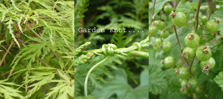 Garden_knot