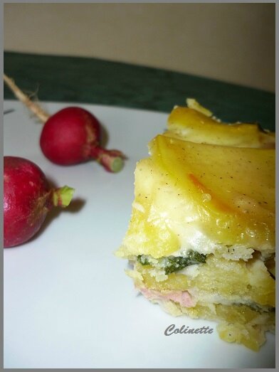 gratin de fanes de radis et pommes de terre 02