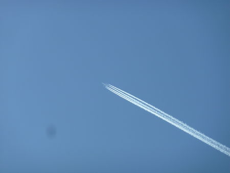 Avion