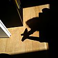 IMG_20120707_114315