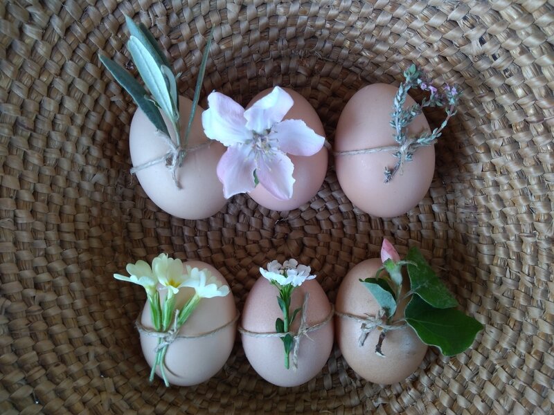 six_oeufs_paques_fleuris