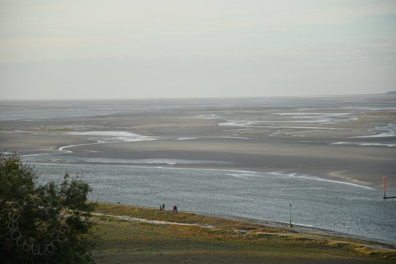 Baie de Somme_24