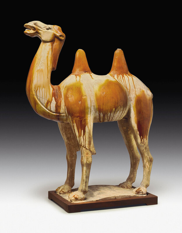 A large amber and straw-glazed pottery figure of a camel, Tang dynasty (618-907)