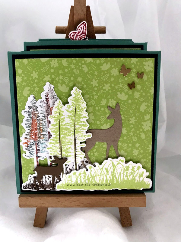 forêt