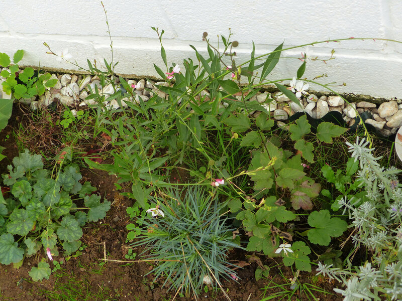 P1580544