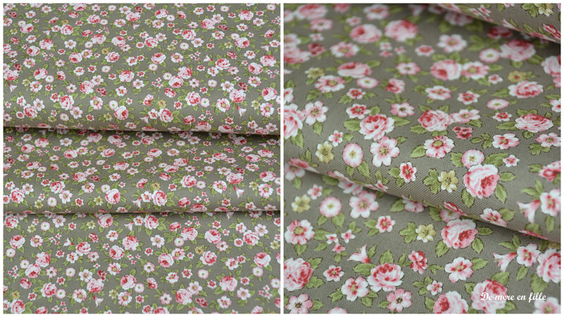roses sur fond taupe
