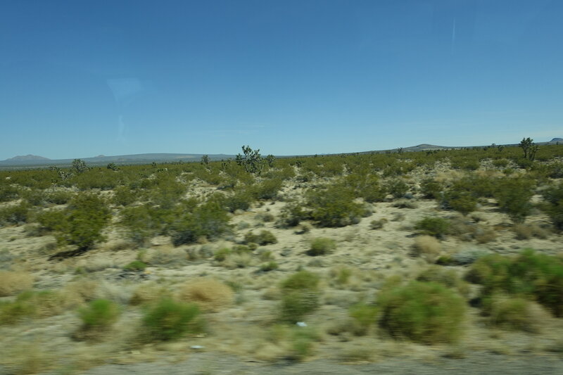 DSC00968