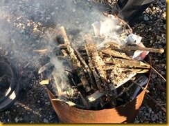 IMG_5778 IMG_5778