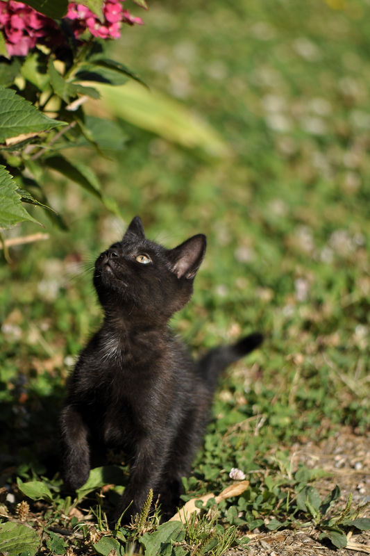 _DSC0065_Yayo