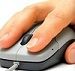 souris