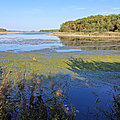 20231010_161812 - Copie