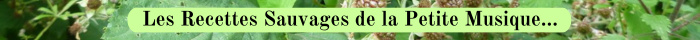 05 RONCES Recettes