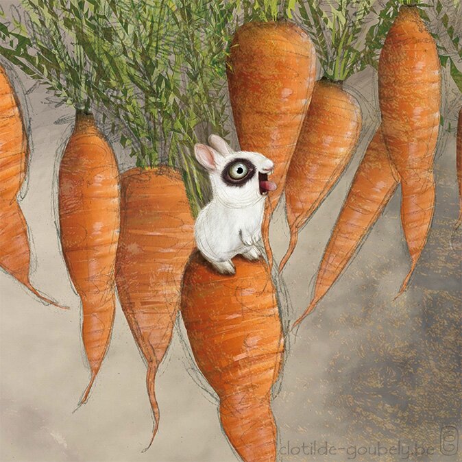 lapin-détail-carottes