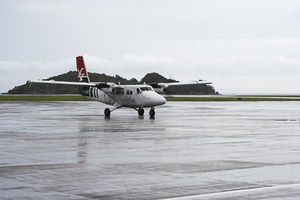 IMG_5568_01