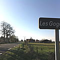 Les Gogos (18)