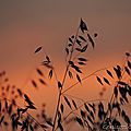 DSCN0038 (3)
