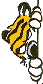 calvin014