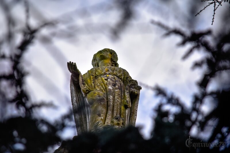 la Vierge Marie Chapelle du Petit-Luc à Lucs-sur-Boulogne