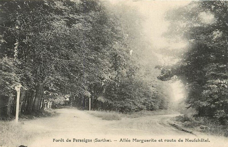 Le 24 décembre 1789 à Mamers : Vol de bois en forêt de Perseigne.