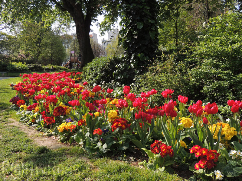 && jardin Villemin (2)