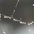 IMG_4456