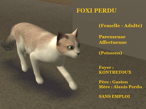 FOXI PERDU