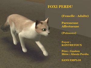 FOXI PERDU