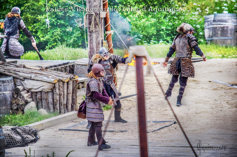 Raides Vikings sur les côtes d’Aquitaine