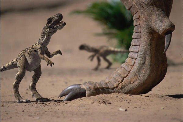 Sur la terre des Dinosaures : T-Rex