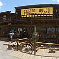 Calico (21)